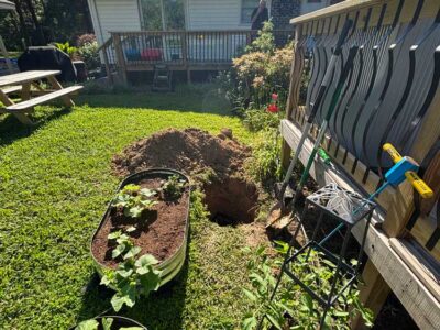 Backyard Hole