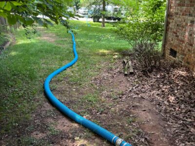 Hose